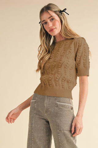 Knit Short Sleeve Sweater